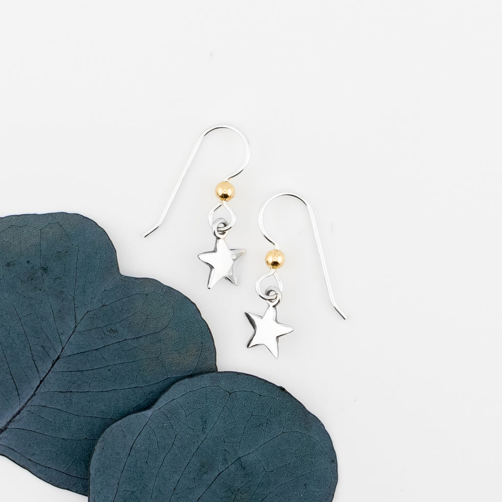 Shine Earrings