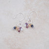 Fruit of The Spirit Earrings