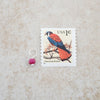 Holly Lane Christian Jewelry - July Birthstone - Ruby