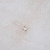 Little Shine Necklace - Holly Lane