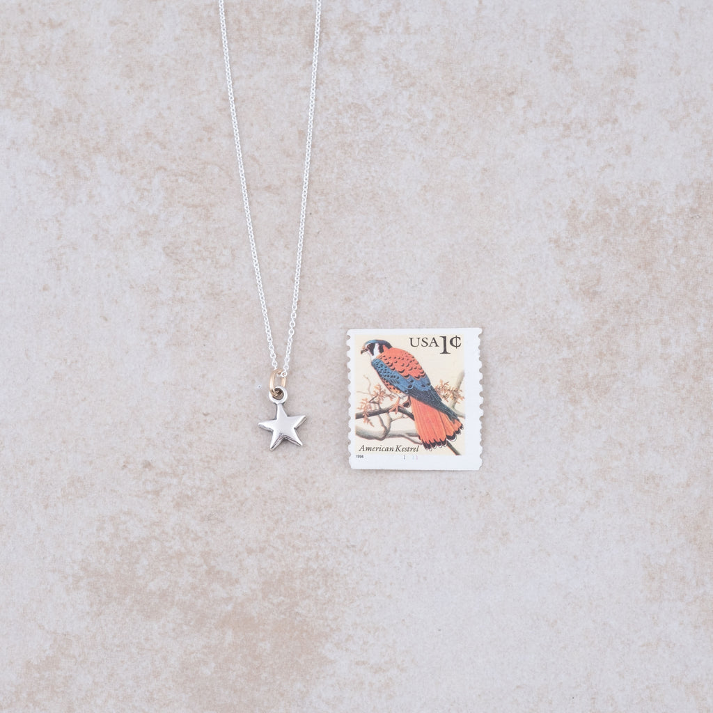 Little Shine Necklace - Holly Lane