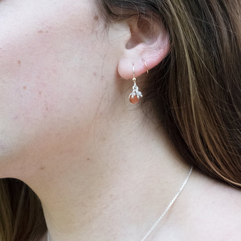 Holly Lane Christian Jewelry - Shine Earrings