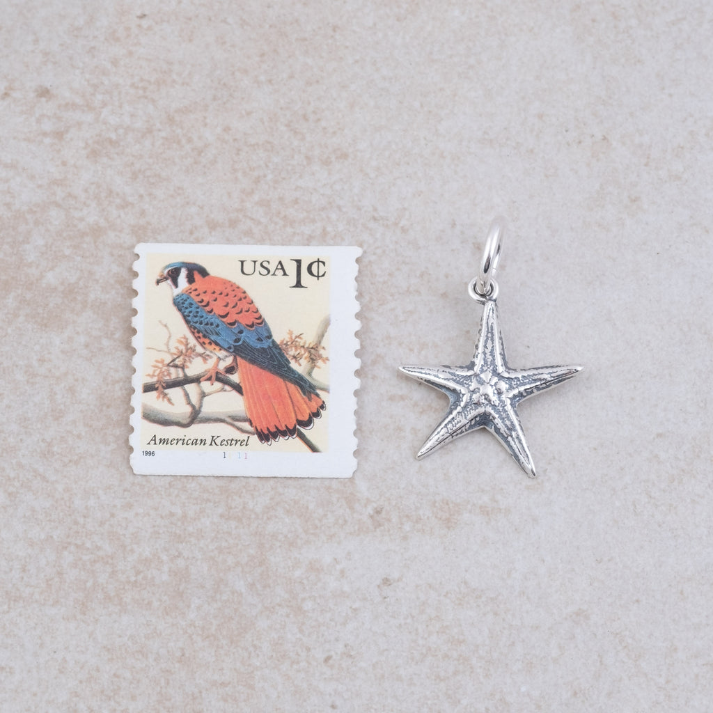 Starfish Pendant - Holly Lane