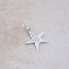 Starfish Pendant - Holly Lane