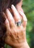 Holly Lane Christian Jewelry - Birds of the Air Ring