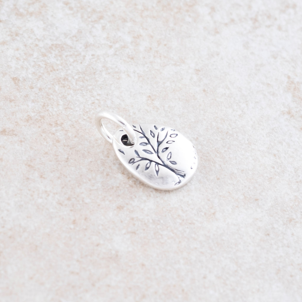 Holly Lane Christian Jewelry - God Around Us Charm