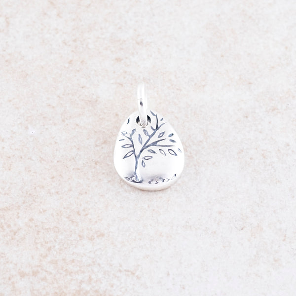 Holly Lane Christian Jewelry - God Around Us Charm