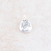 Holly Lane Christian Jewelry - God Around Us Charm