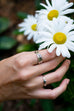 Holly Lane Christian Jewelry - Always Present Ring