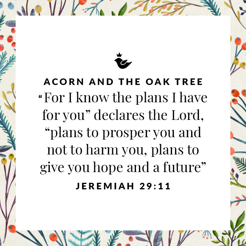 Acorn and the Oak Tree