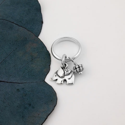 Elephant Slide - Holly Lane