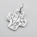 New Creation Charm