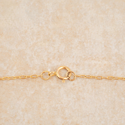 Gold Filled Chain - Holly Lane