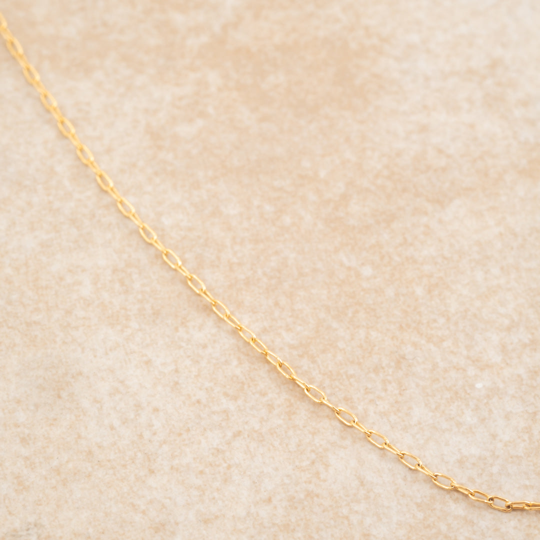 Gold Filled Chain - Holly Lane