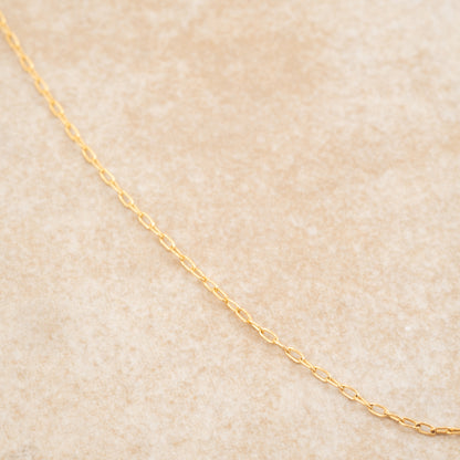 Gold Filled Chain - Holly Lane