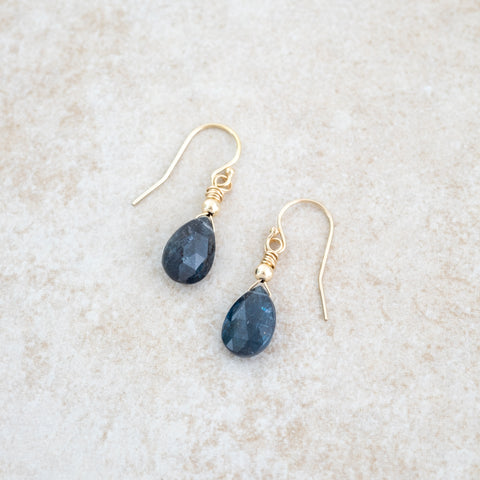 Holly Lane Christian Jewelry - Deep Waters Earrings