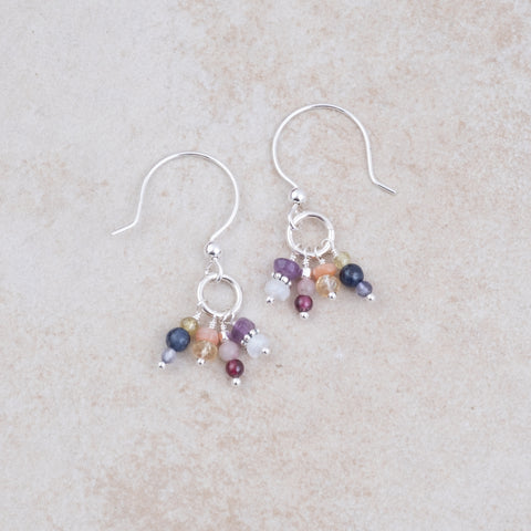 Fruit of The Spirit Earrings - Holly Lane