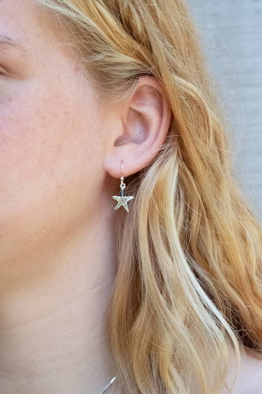 Starfish Earrings - Holly Lane
