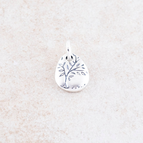 Holly Lane Christian Jewelry - God Around Us Charm